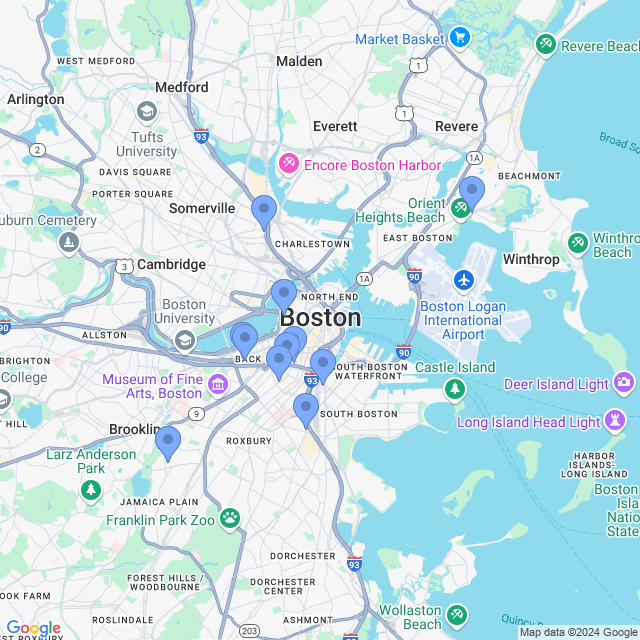 Map of veterinarians in Boston, MA