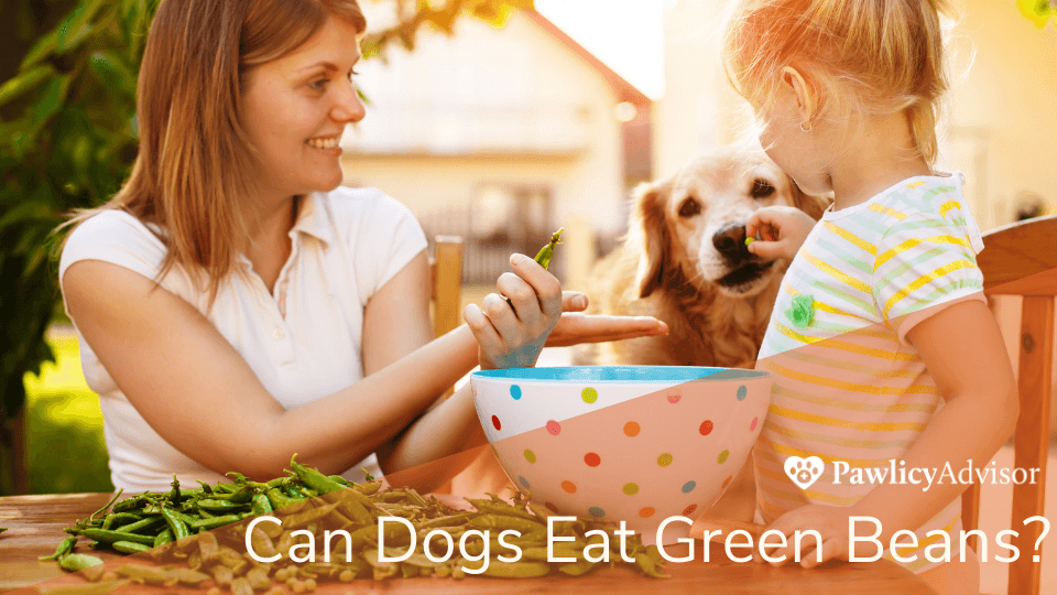 Mother and daughter preparing green beans with dog