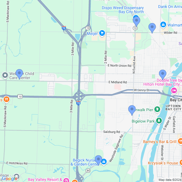 Map of veterinarians in Bay City, MI