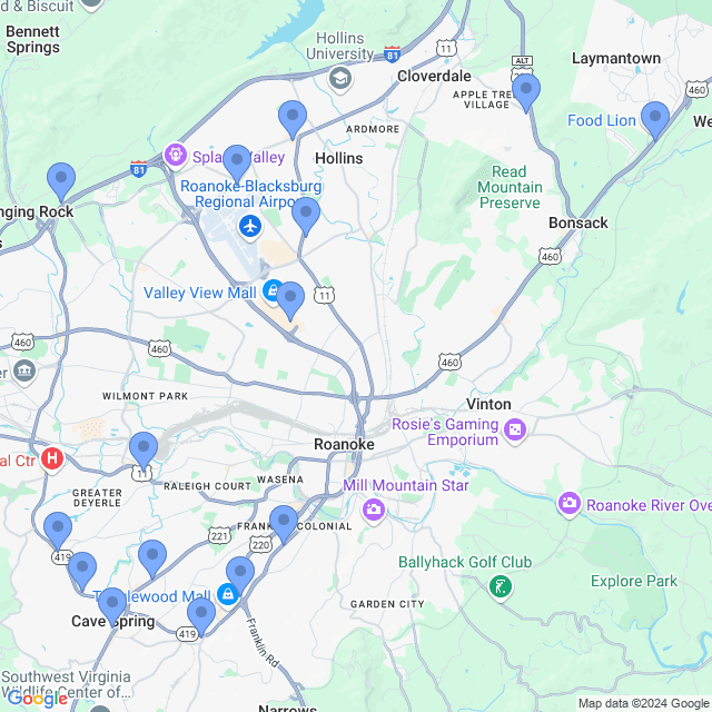 Map of veterinarians in Roanoke, VA