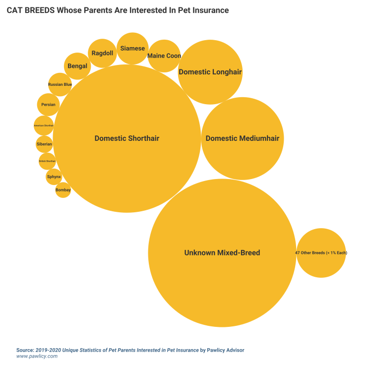 cat breeds whose parents are interested in pet insurance