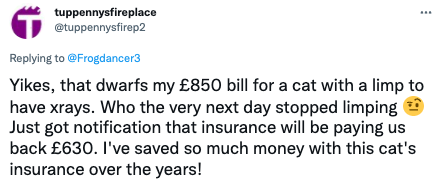 cat insurance twitter post 9