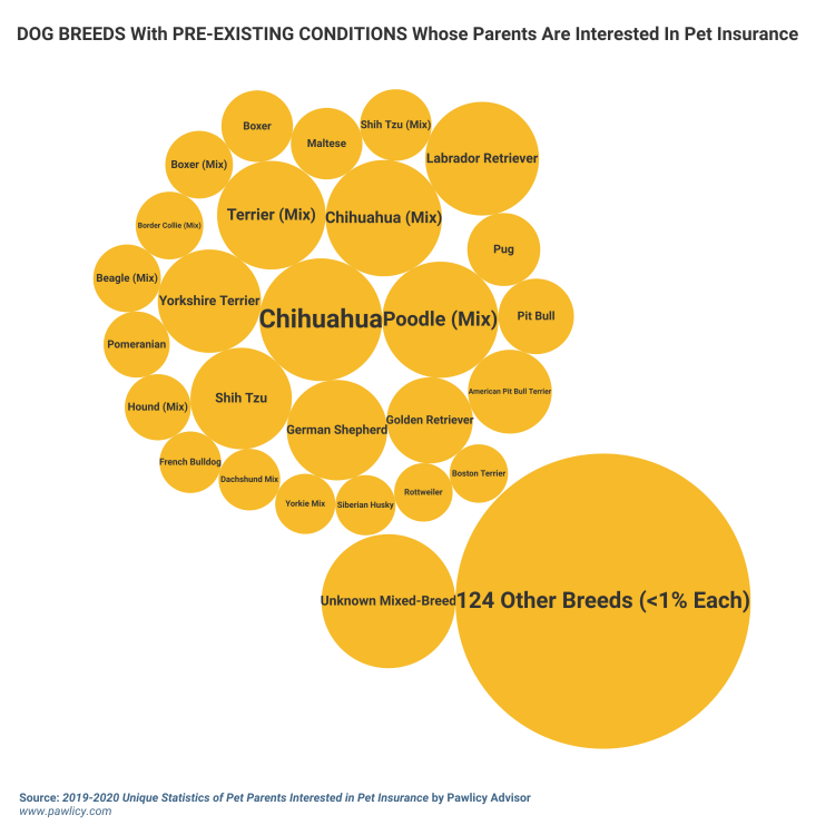 dog breeds with pre-existing conditions whose parents are interested in pet insurance
