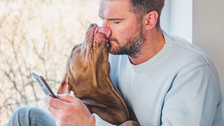 dog kisses man on the phone