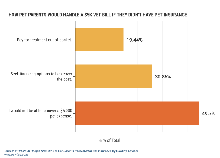 how pet parents would handle a 5000 vet bill if they didnt have pet insurance