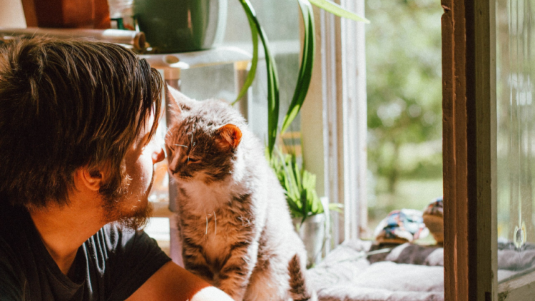 man brushing noses with cat