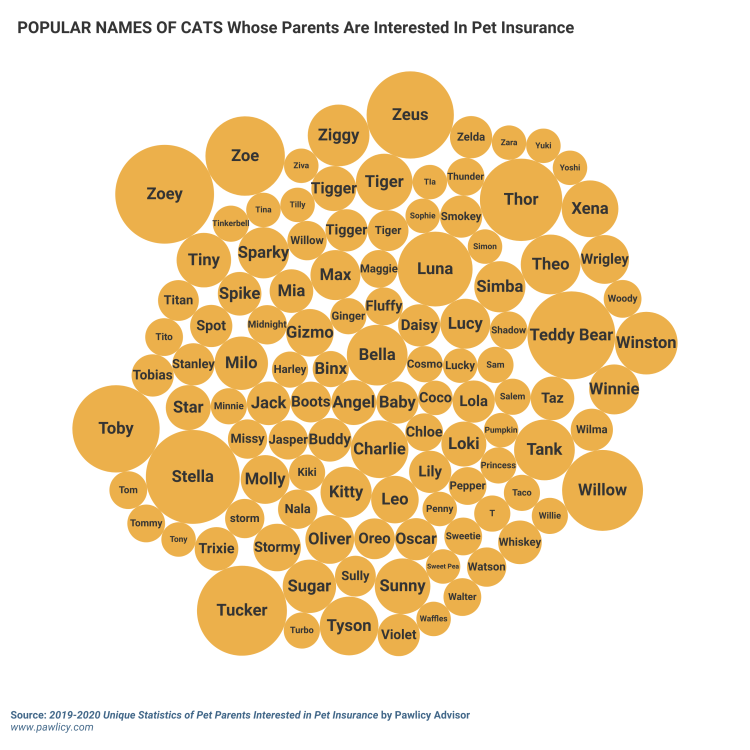 popular names of cats whose parents are interested in pet insurance