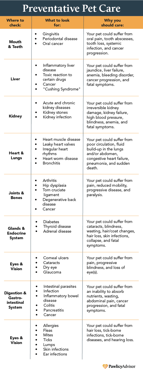 Preventive Pet Care Checklist