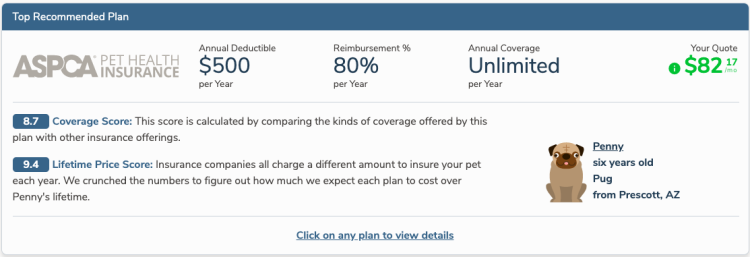 top recommended plan for a six-year-old pug